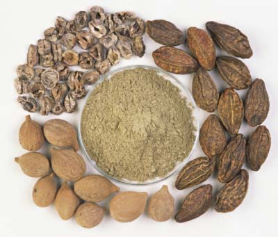 Triphala Fruits and Powder